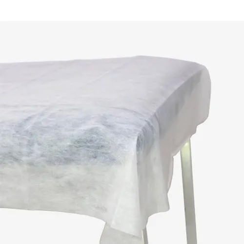 Lençol Descartável Sem Elástico Hndesc Branco 2,0mx0,9m 10 Unidades