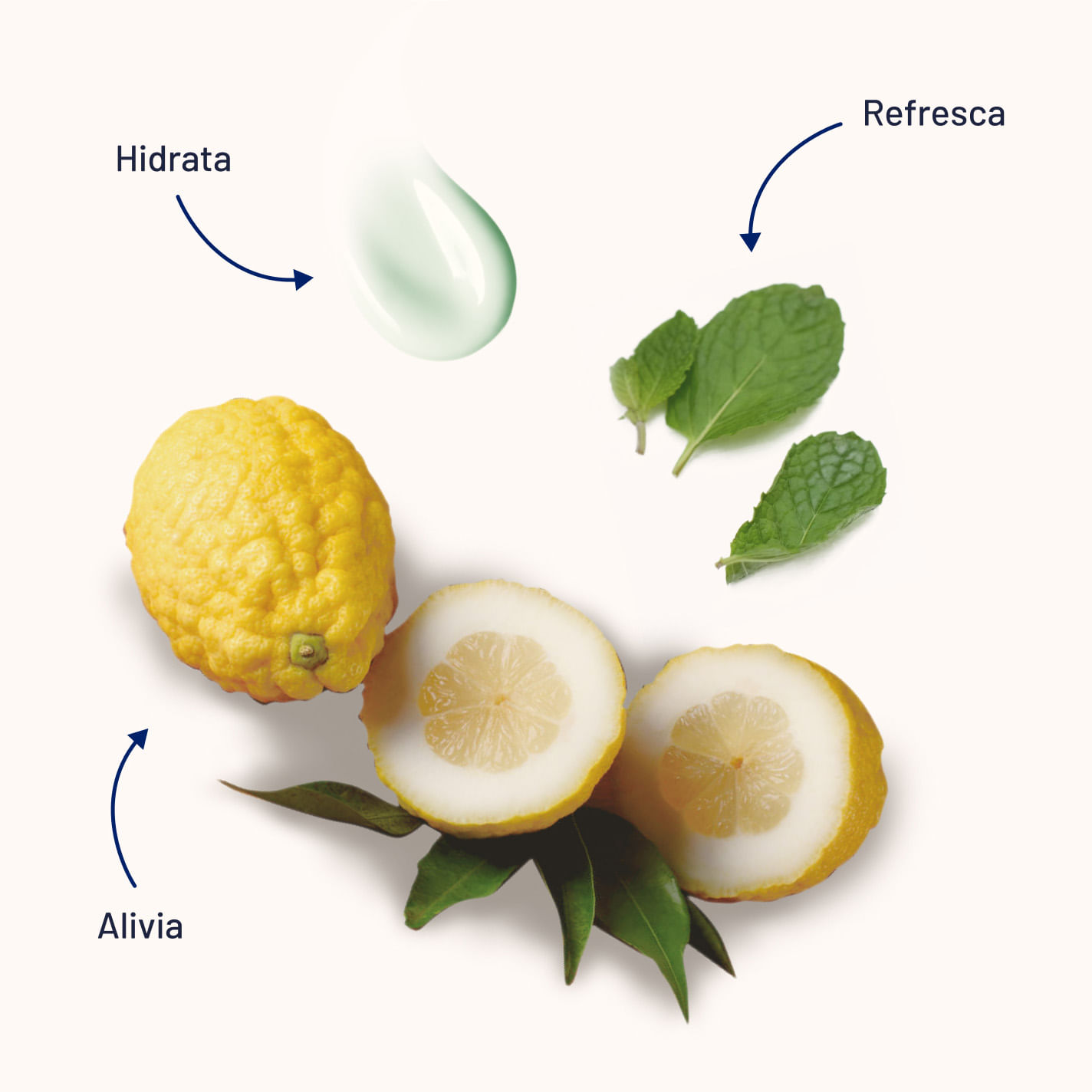 Creme Revitalizante Para Pernas Cedraflon 150ml - Imagem 3